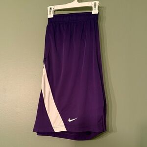Nike Deep Purple Sports Shorts